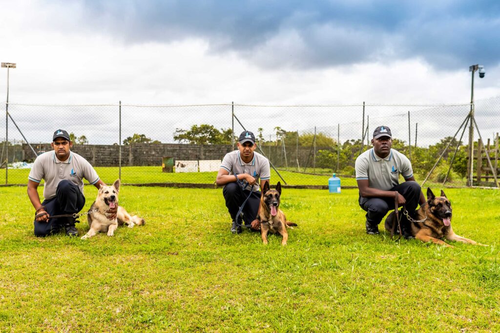 K9 store security training